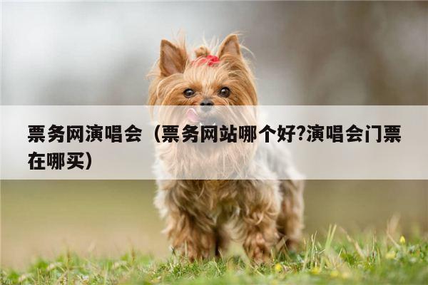 票务网演唱会（票务网站哪个好?演唱会门票在哪买）
